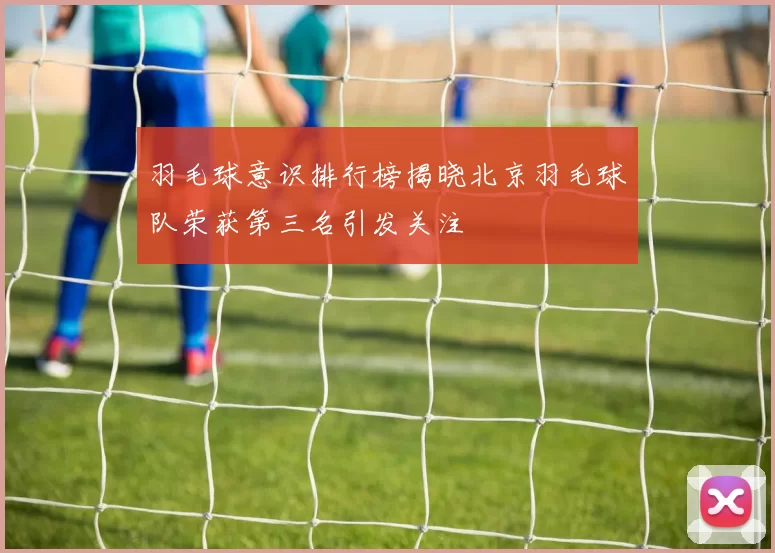 羽毛球意识排行榜揭晓北京羽毛球队荣获第三名引发关注