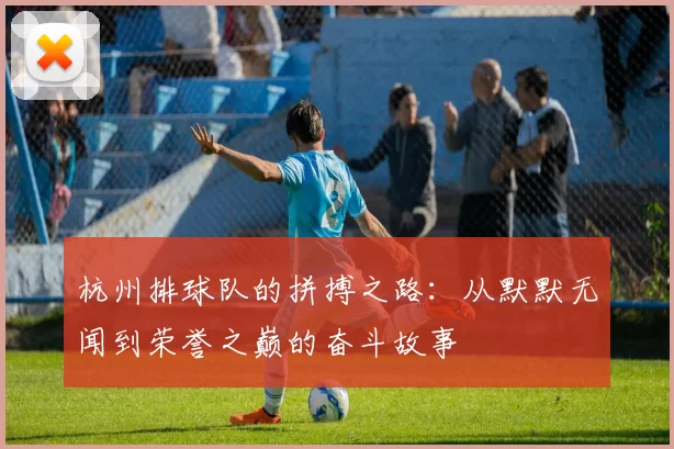 杭州排球队的拼搏之路：从默默无闻到荣誉之巅的奋斗故事