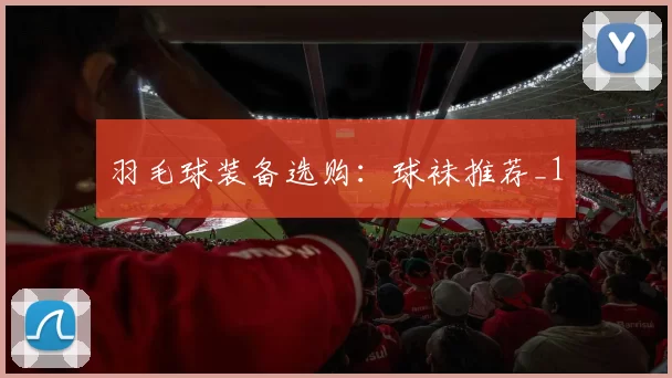 羽毛球装备选购：球袜推荐_1