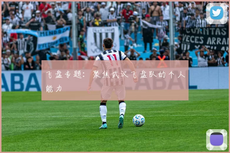 飞盘专题：聚焦武汉飞盘队的个人能力