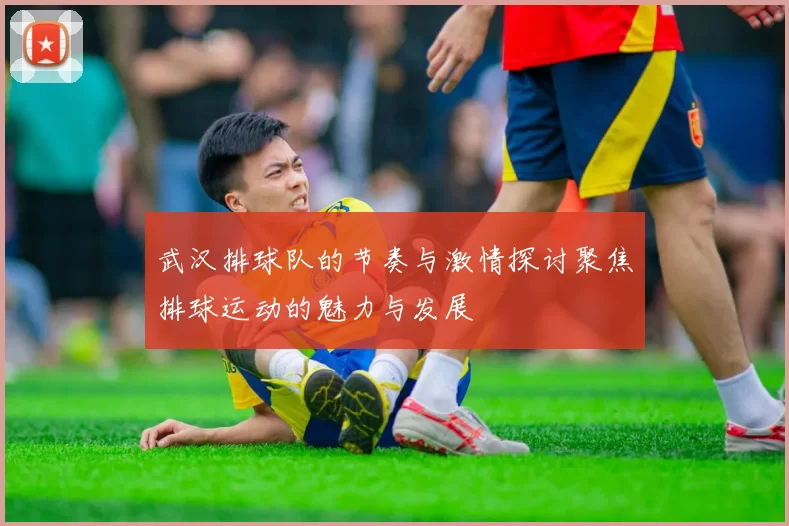 武汉排球队的节奏与激情探讨聚焦排球运动的魅力与发展